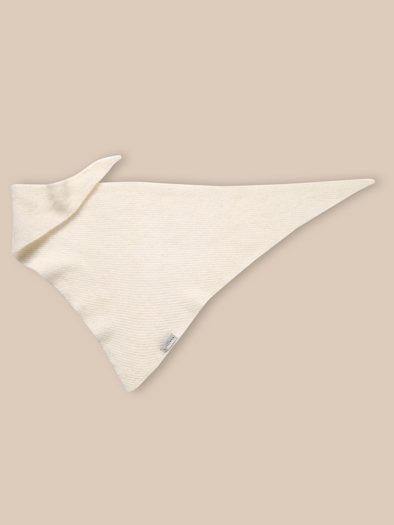 Accessoire d'hiver élégant